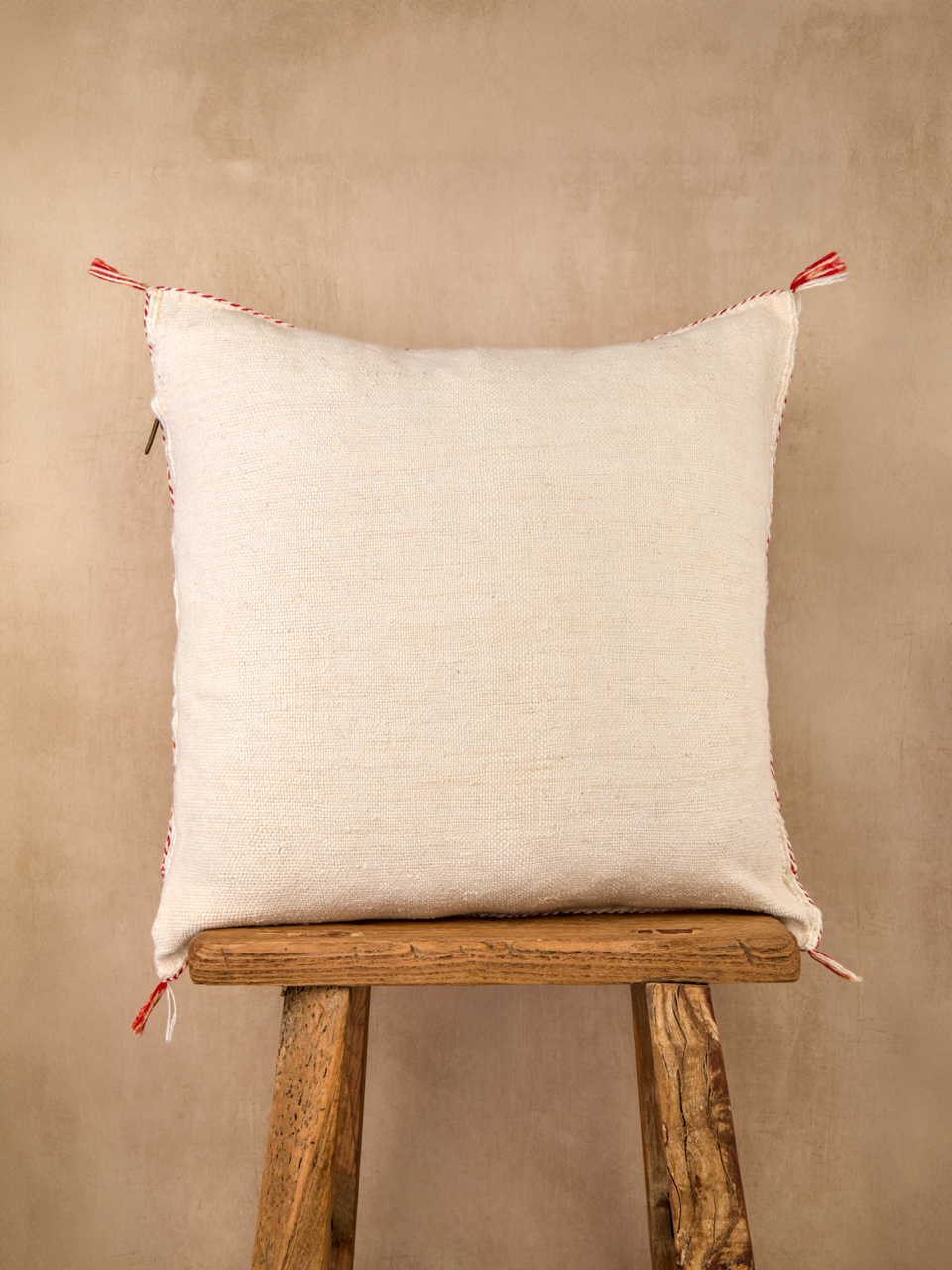 Luxury Cactus Silk Cushion - Off White